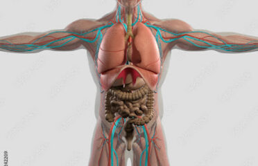 BM chiropracteur Bendoul Marouane