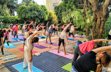 DarYoga – ecole de Hatha yoga Casablanca