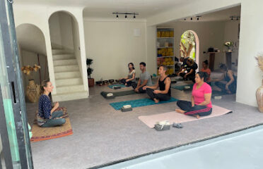 Root Holistic Experiences