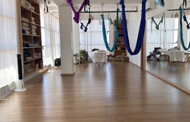 Shyva yoga and Wellness